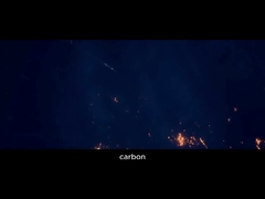 Pingdingshan Oriental Carbon Co., Ltd. y sus subsidiarios